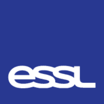Everlasting Systems & Solutions Logo